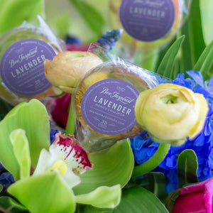 Holiday Honey Lollipops: Artisan Winter Treats | Box of 50: Cinnamon