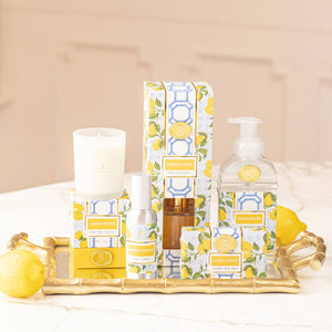 Lemon Ginger Foaming Hand Soap