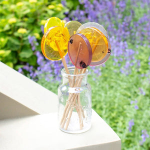 Holiday Honey Lollipops: Artisan Winter Treats | Box of 50: Cinnamon