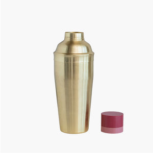 Stainless Steel Cocktail Shaker