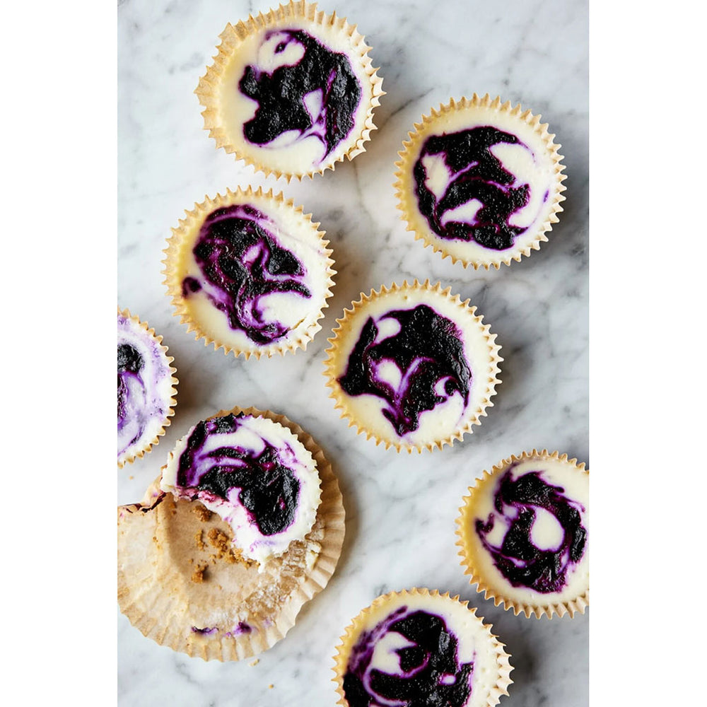 skinnytaste cookbook recipe blueberry cheesecake minis