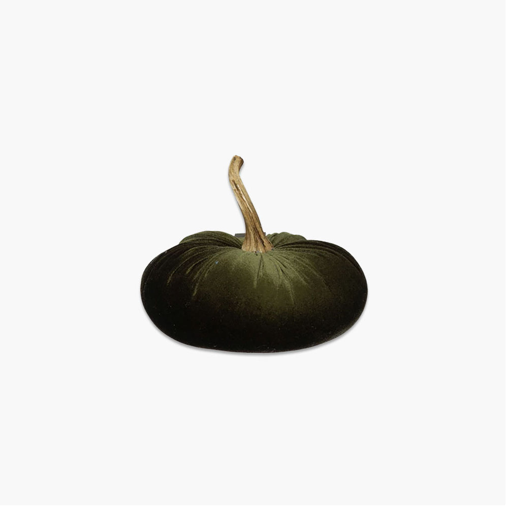 
            
                Load image into Gallery viewer, green velvet pumpkin
            
        